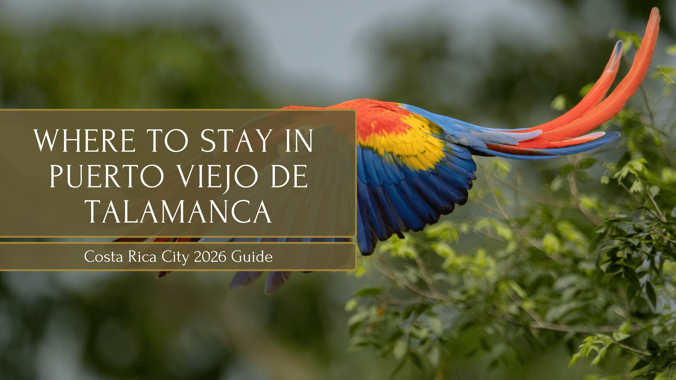 Where to stay in Puerto Viejo de Talamanca