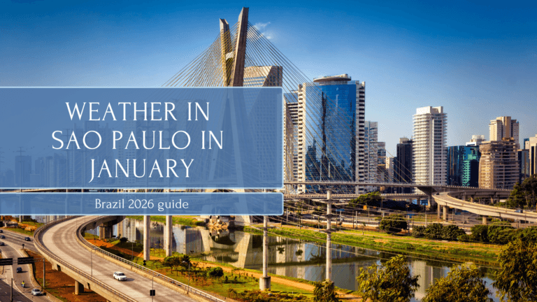 Weather in São Paulo in January